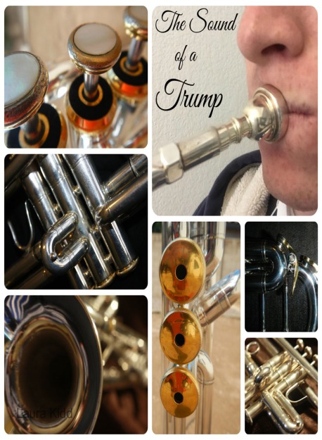 sound-of-a-trump-collage